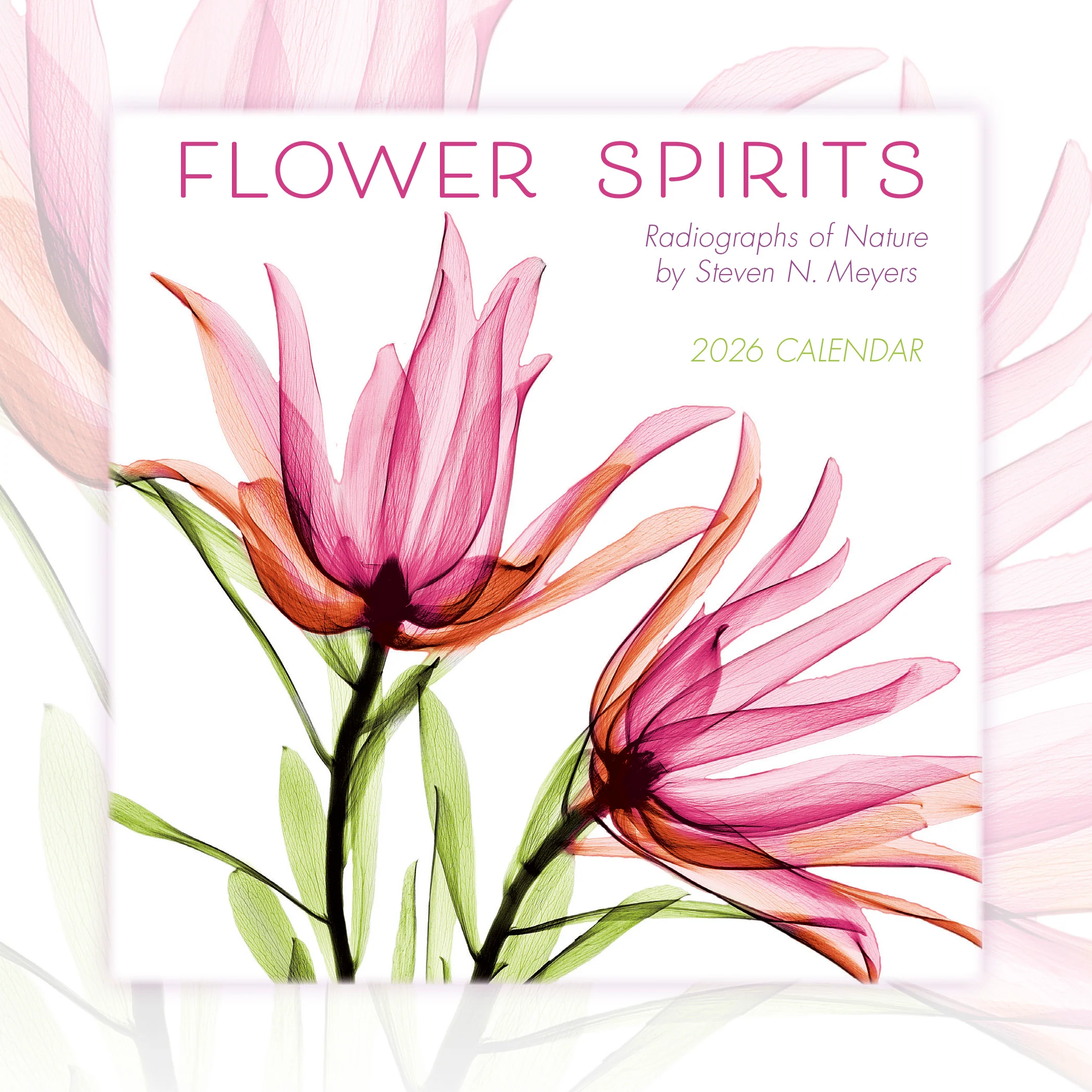All Calendars, Diaries & Planners